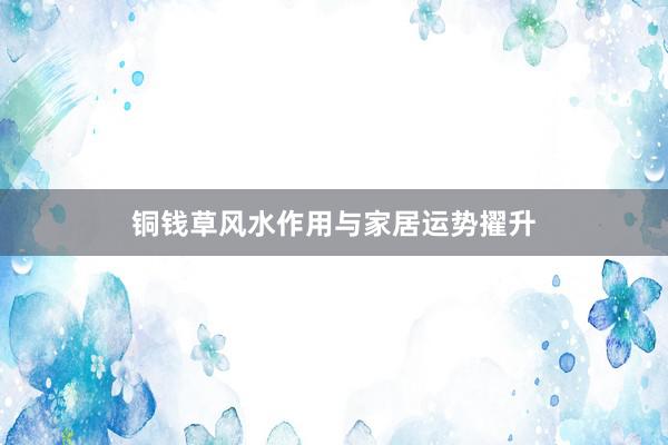 铜钱草风水作用与家居运势擢升